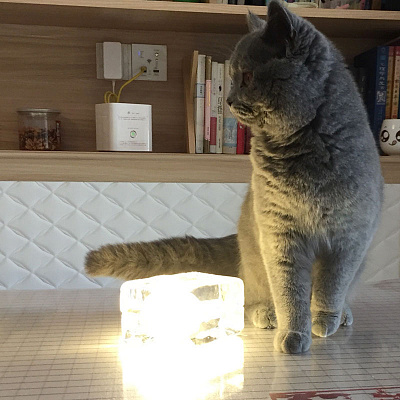 Настольная лампа Block Table Lamp фото 5