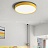 Светодиодные плоские потолочные светильники KIER 50 см  Желтый фото 14