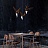 Серия подвесных светильников виде деревянных птиц со светящимися клювами с дополнительным световым элементом в потолочном креплении HANSY маленький Модель С светлый  фото 18