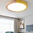 Светодиодный потолочный светильник в скандинавском стиле TWAIN 31 см  Желтый фото 8