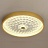 Круглый дизайнерский потолочный светильник PETALS C 55 см  Золотой фото 2