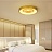 Круглый дизайнерский потолочный светильник PETALS C 70 см  Золотой фото 10