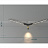 Потолочный светильник Wings 100 см  Черный фото 2