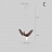 Серия подвесных светильников виде деревянных птиц со светящимися клювами с дополнительным световым элементом в потолочном креплении HANSY маленький Модель В светлый фото 11