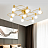 Дизайнерский потолочный светильник ROM 7 плафонов Золотой фото 5
